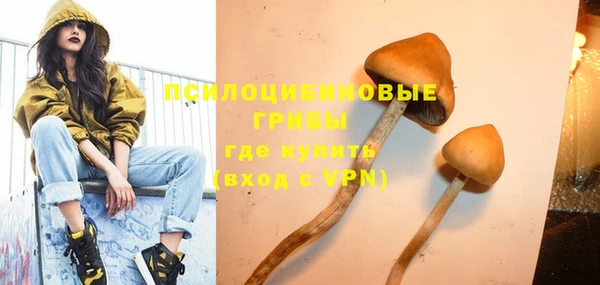 прущая мука Арсеньев