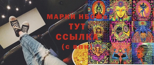 сатива Аркадак