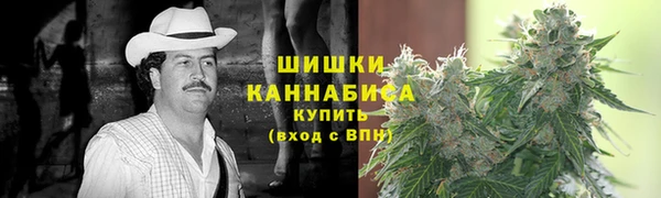 сатива Аркадак