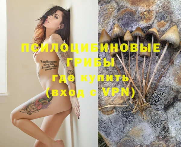 прущая мука Арсеньев