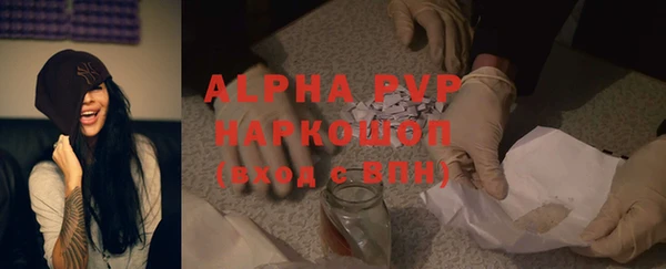 сатива Аркадак