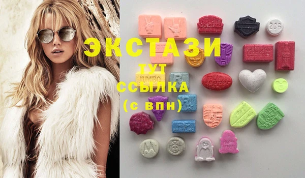 сатива Аркадак
