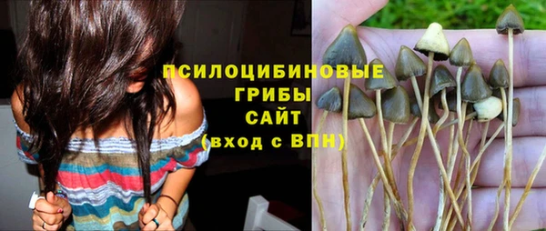 прущая мука Арсеньев