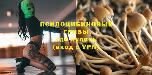 винт Армянск
