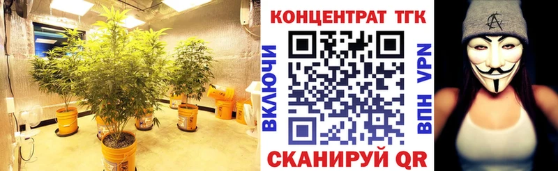 ТГК гашишное масло  как найти   Онега 
