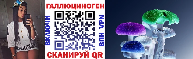 МЕГА зеркало  Онега  Галлюциногенные грибы Cubensis  цены  